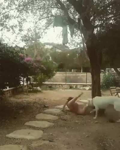 Dog knows a bitch when he sees one