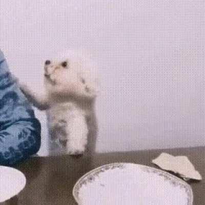 Эй, эй, помоги! Я же не могу дотянуться!