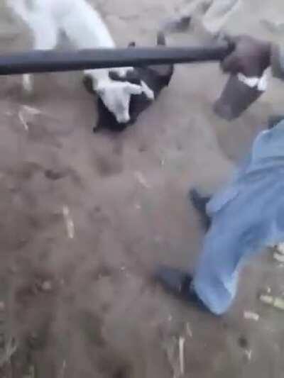 I live in spain without the a