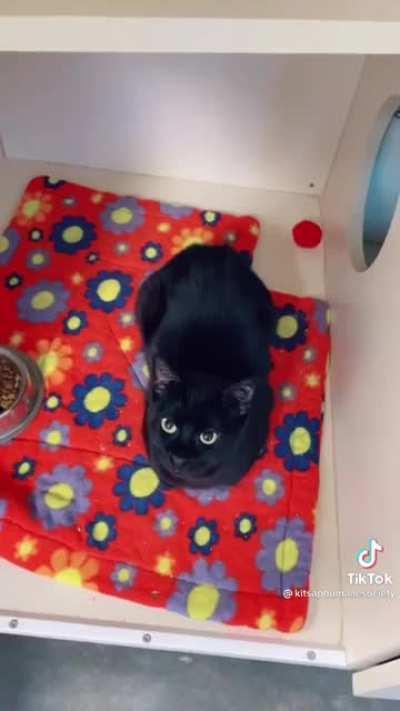 welcome to the bread bank