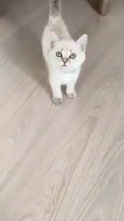 aaaaa... A҉҉̦̣̤͔̟̩̋̿̏ͦ̈́̍͟͠A҉҉̦̣̤͔̟̩̋̿̏ͦ̈́̍͟͠A҉҉̦̣̤͔̟̩̋̿̏ͦ̈́̍͟͠A҉҉̦̣̤͔̟̩̋̿̏ͦ̈́̍͟͠A҉҉̦̣̤͔̟̩̋̿̏ͦ̈́̍͟͠A҉҉̦̣̤͔̟̩̋̿̏ͦ̈́̍͟͠