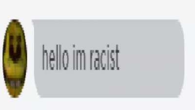 Hello im racist