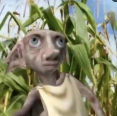 SAVAGE MODE INITIALIZED😎😎