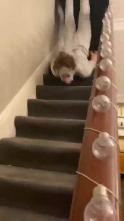 HMB while we go down the stairs