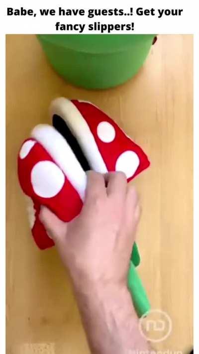 She said fancy not the coolest slippers to ever exist