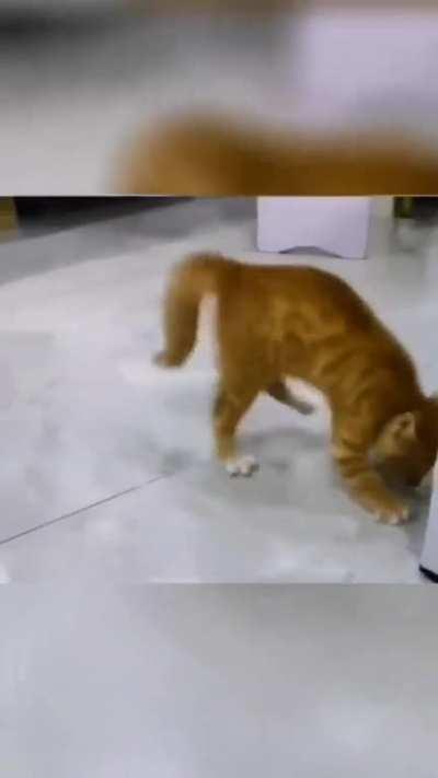 Genius lies in practice😂😂