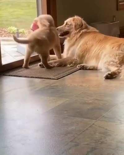 The third time was, unfortunately, not a charm