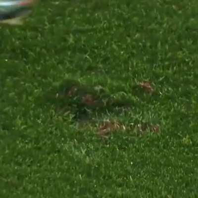 Poor Nuno got tricked