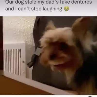 Look at my perfect smile people!