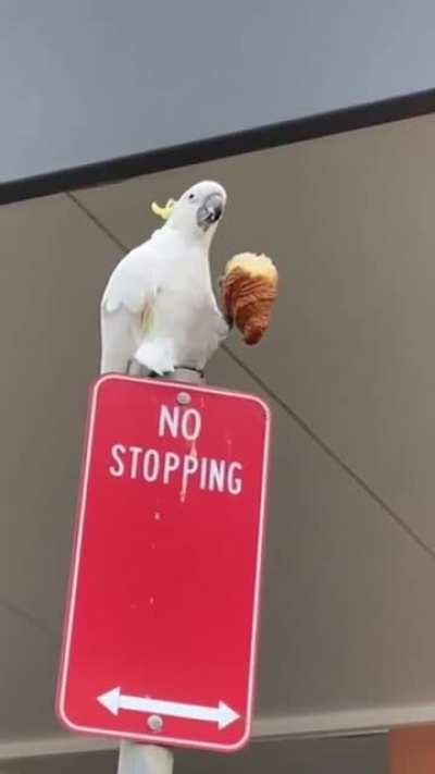 Living his best life