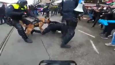 Disgusting Dutch police tyrants.