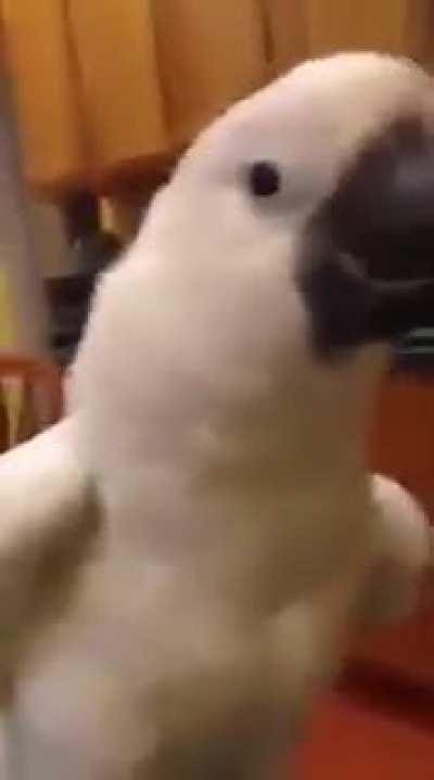 Когда встречаешь свою первую любовь