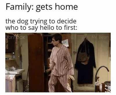 Yo dawg, I heard you like attention