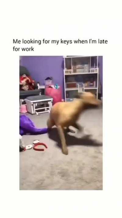 We've all been there