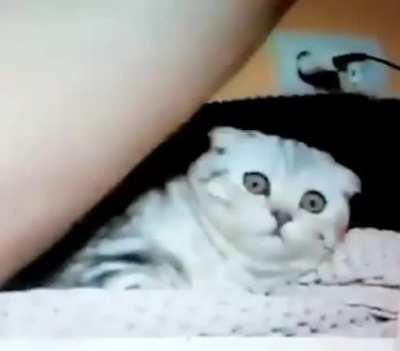 front seat experience