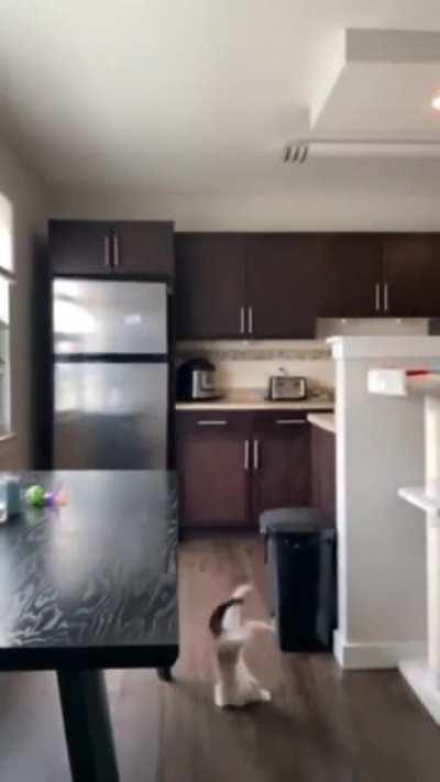 I believe I can fly...