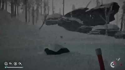 I apparently don't know the difference between a moose and a deer