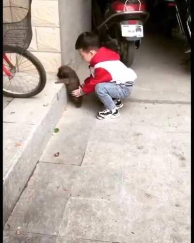 Up you go, little guy