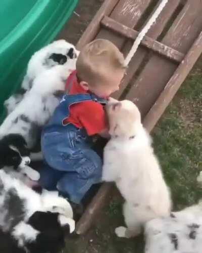 SmAlL cHiLd MaUlEd By PaCk Of ViCiOuS pReDaToRs