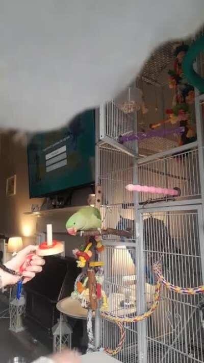 More bonding/my hands are safe time. 😍#Jack