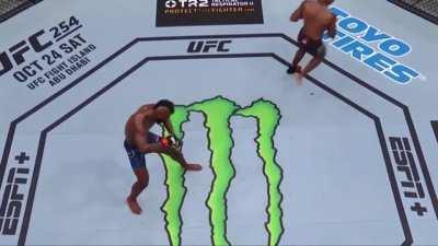 Knockout of the year