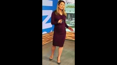 Ginger Zee Preggo Series