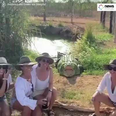 Smile for the crocodile