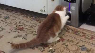 Bass so thick he wants to grab it