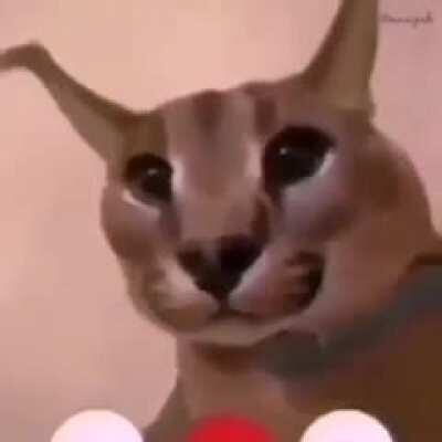 We made it to Friday again 🙌