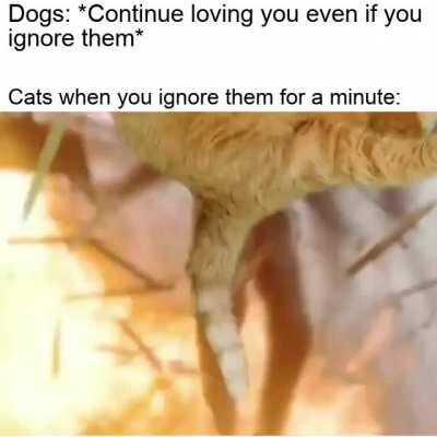 Both are still awesome