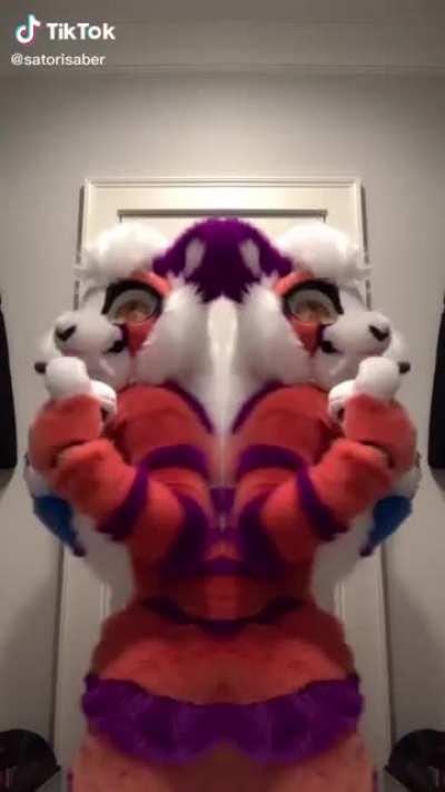 Lonely furry gotta reflect a friend