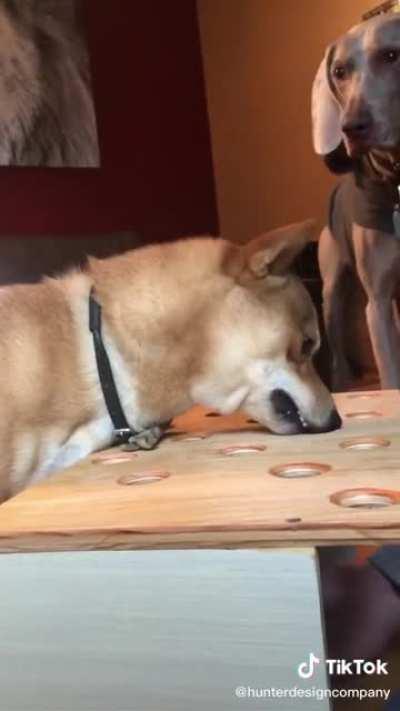 I think I'd be mad too.