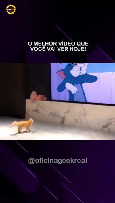 The best video you will see today!