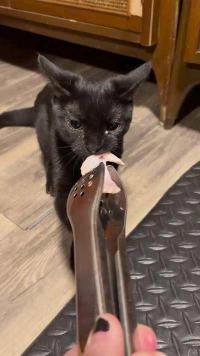 angy void won’t let go of chicken wing