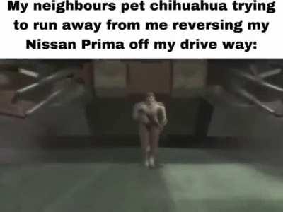 Loser city chuiiuiiiuwawa 