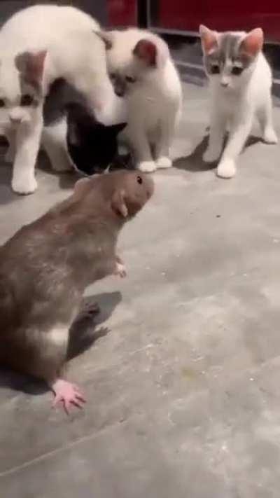 ME BEING PUT IN PLACE BY