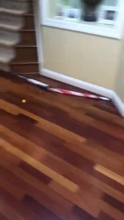 Yes yes yes no no no yes