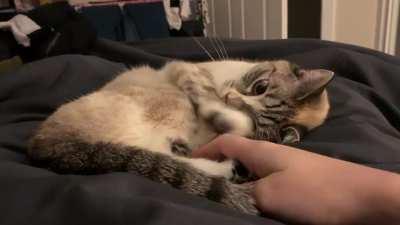 My little lawn mower 🥰