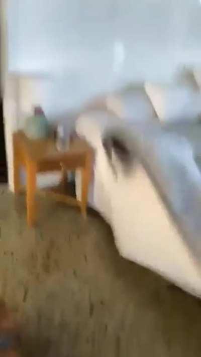 HMC while I jump on the bed