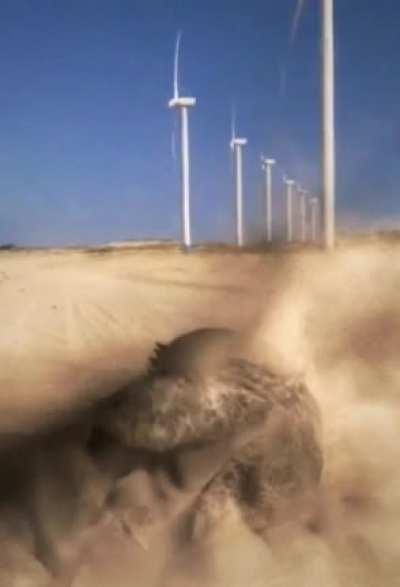 Atualizaram o video viral do Whinderson