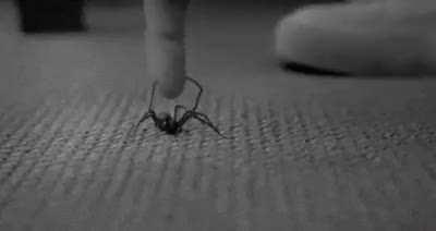 Aiki in Baki be like: