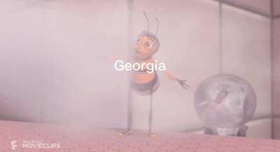 Bee Movie’s popularity has lasted longer than at least two Confederacy’s at this point
