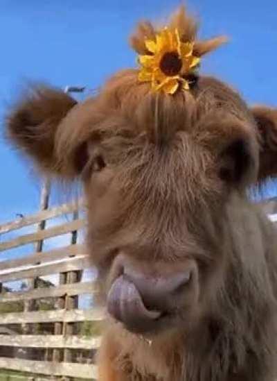 What do you tell me about our friend’s style? 😍😍