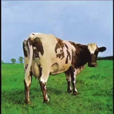 I just love this section from Atom Heart Mother, all the guys are killing it. Such a beautiful sound.