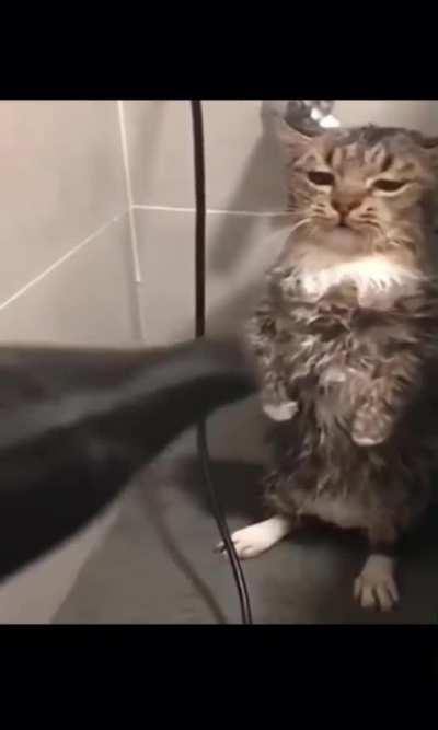 bipedal humanoid wunkus