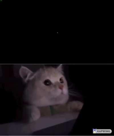 How it feels starting Elden Ring at night