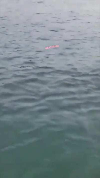 Just wow.  Absolutely terrifying and amazing 