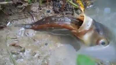 Reminds me of when I spent a night in county