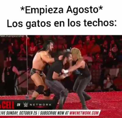 consulta: han escuchado gatos en sus techos?.... No llueve, no hace frio y ni los gatos hacen su pega......invierno penca!