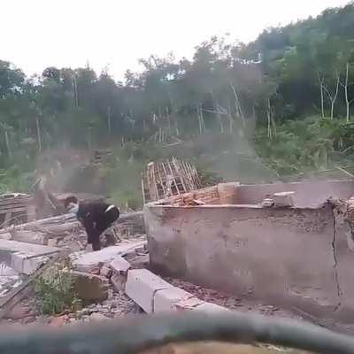 Twin brother fights back